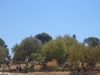 dsc08146