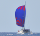 spinnaker