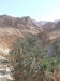 dscn1429-640