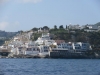 IMG_2489-640.jpg