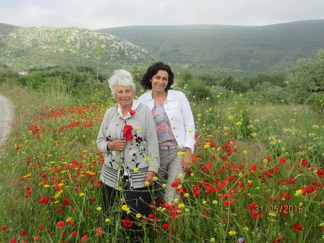 Mum enjoying the poppies in rural Portugal