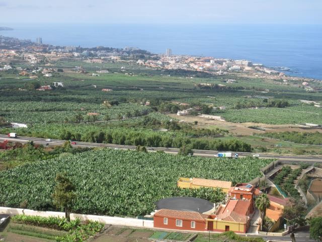 view of the banana plantations and Los cristianos and puerto de la cruz resorts